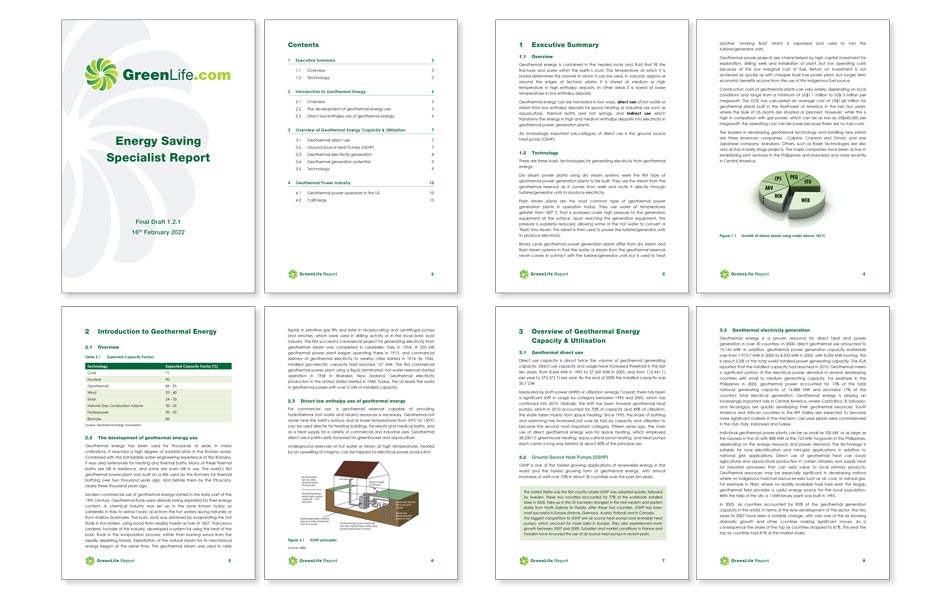 Specialist report for green energy company with figures and pullouts.